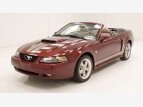 Thumbnail Photo 1 for 2004 Ford Mustang GT Convertible